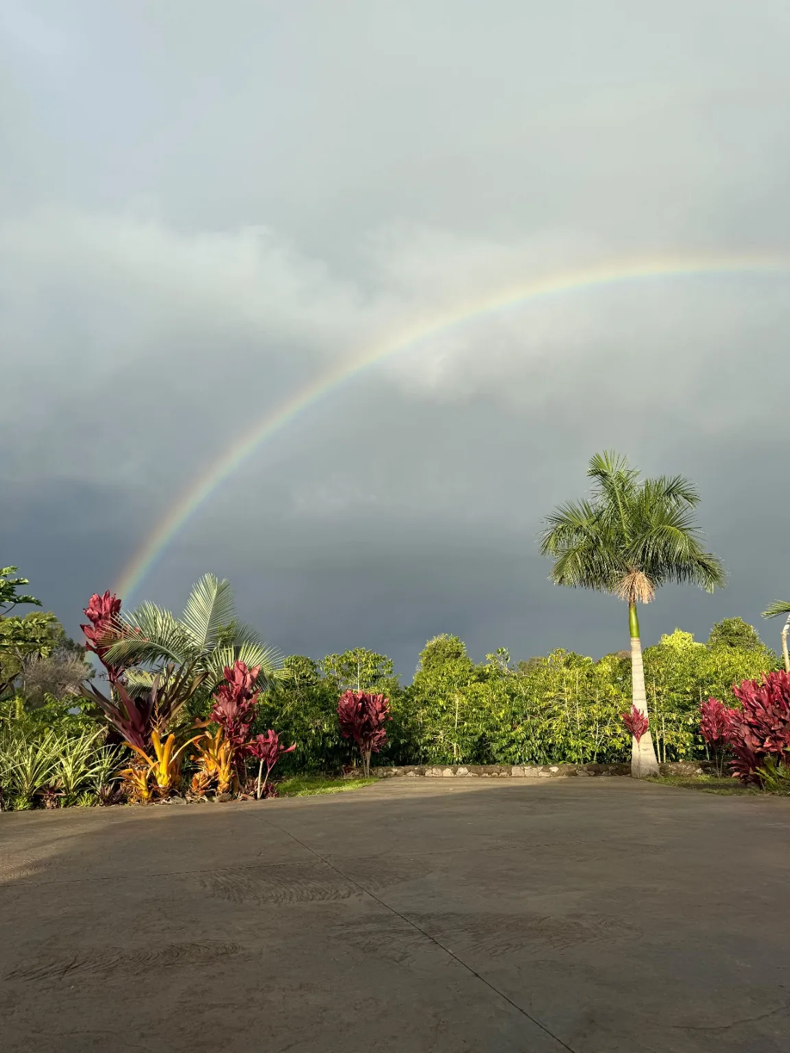 Rainbow over the Magaña's Kona coffee farm in Hawaiʻi